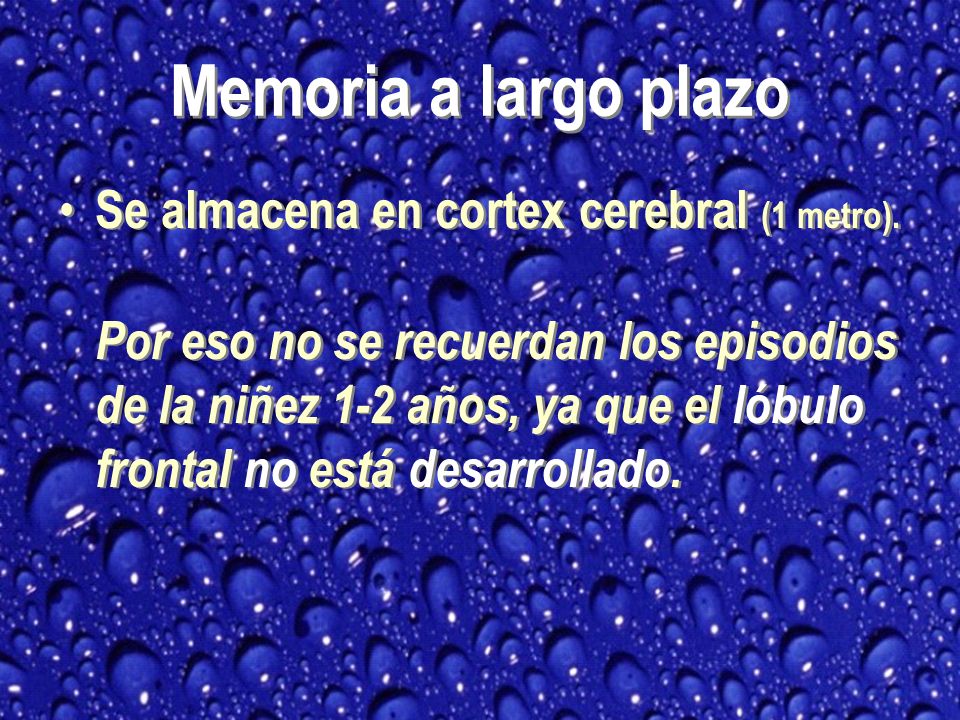 Memoria a largo plazo Se almacena en cortex cerebral (1 metro).