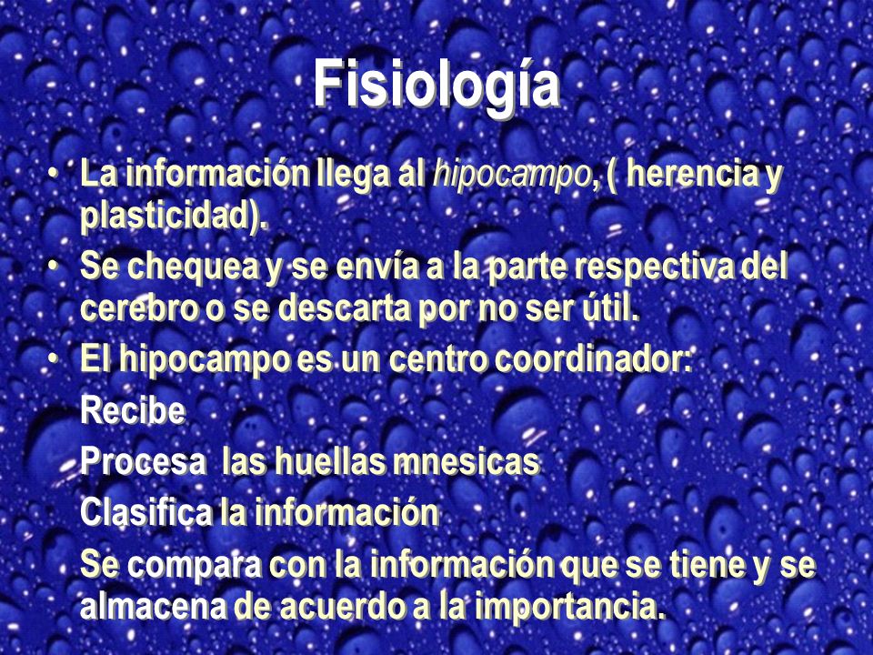 Fisiología La información llega al hipocampo, ( herencia y plasticidad).