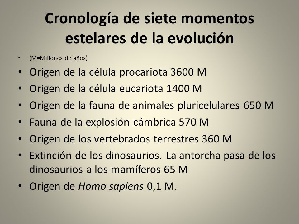 Cronología de siete momentos estelares de la evolución