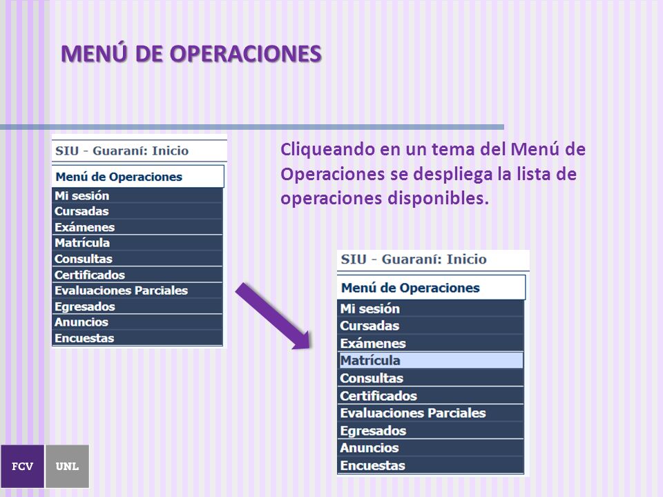 MENÚ DE OPERACIONES Cliqueando en un tema del Menú de Operaciones se despliega la lista de operaciones disponibles.
