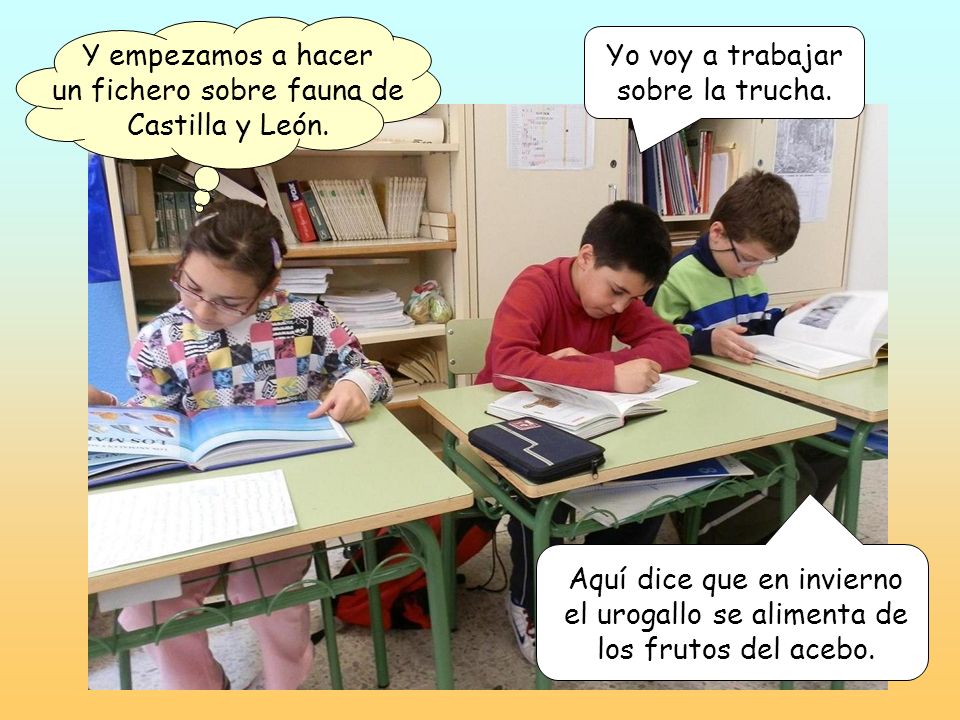 Y empezamos a hacer un fichero sobre fauna de Castilla y León.