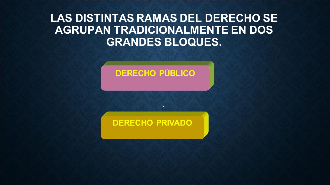 LAS DISTINTAS RAMAS DEL DERECHO SE AGRUPAN TRADICIONALMENTE EN DOS GRANDES BLOQUES.