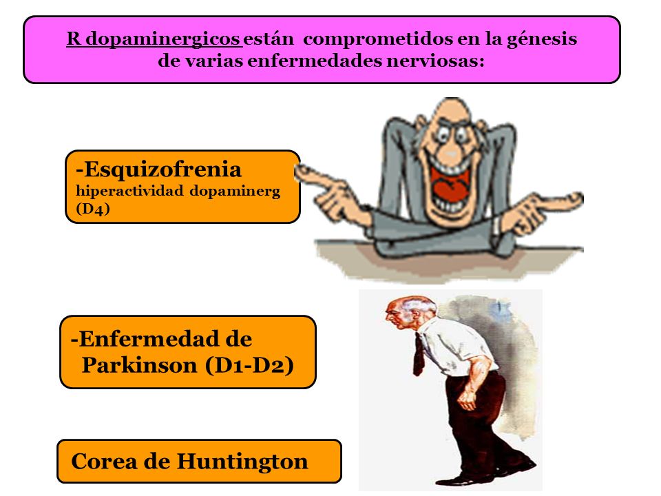 -Esquizofrenia -Enfermedad de Parkinson (D1-D2) Corea de Huntington