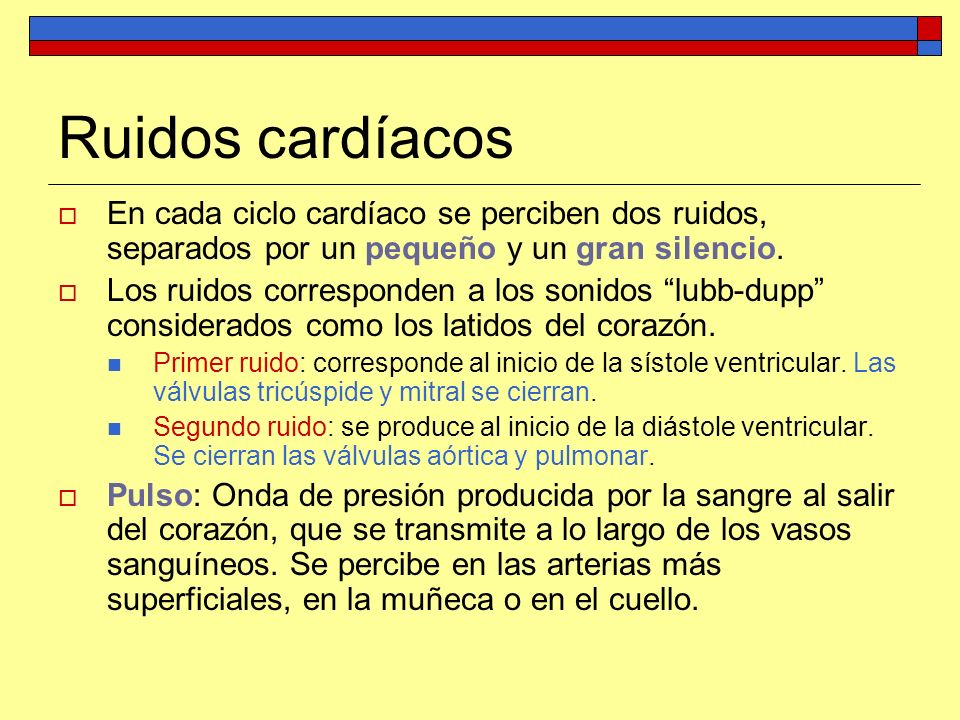 Ruidos cardíacos En cada ciclo cardíaco se perciben dos ruidos, separados por un pequeño y un gran silencio.