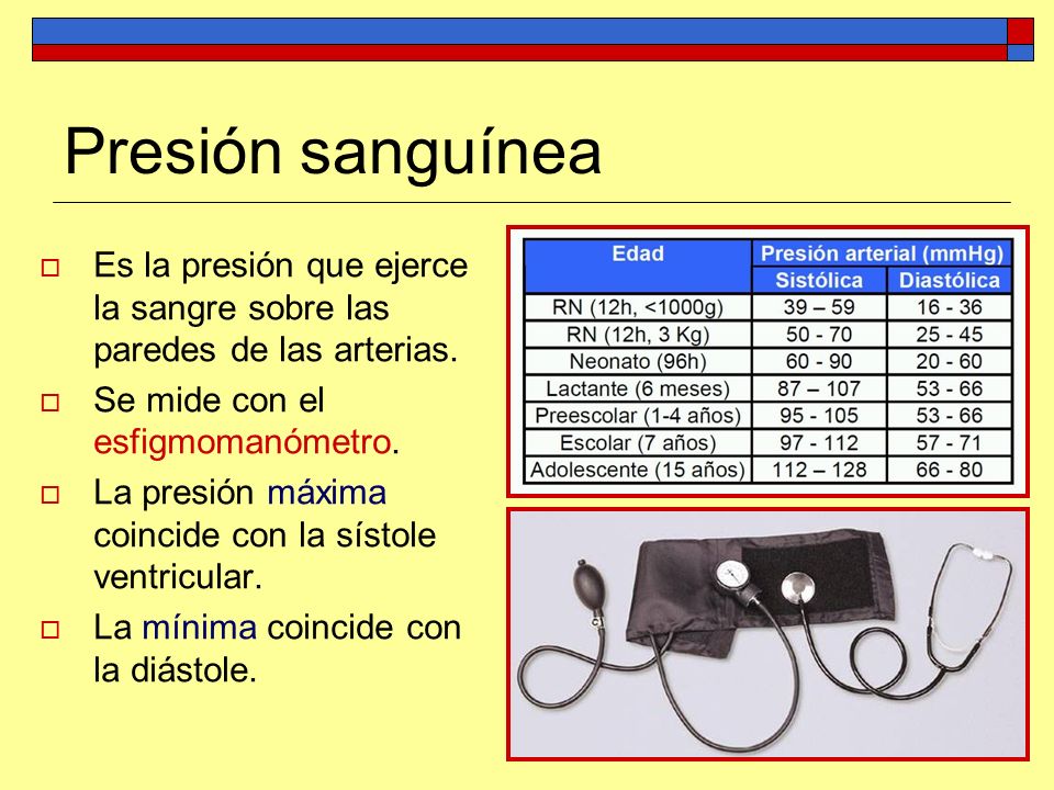 Presión sanguínea Es la presión que ejerce la sangre sobre las paredes de las arterias. Se mide con el esfigmomanómetro.