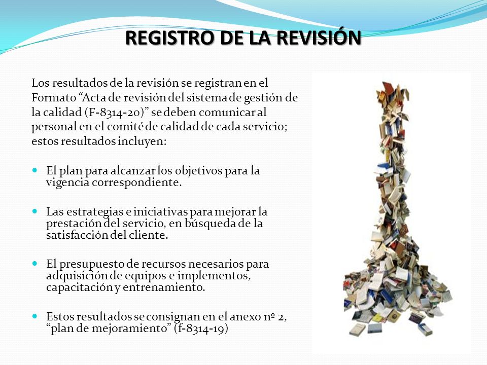 REGISTRO DE LA REVISIÓN