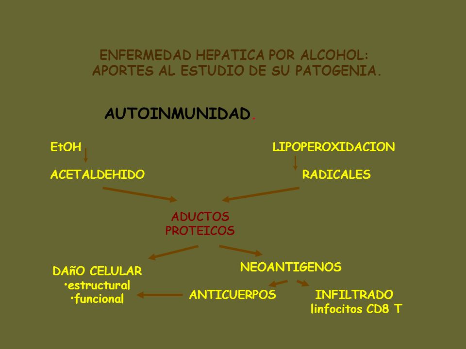 ENFERMEDAD HEPATICA POR ALCOHOL: APORTES AL ESTUDIO DE SU PATOGENIA.
