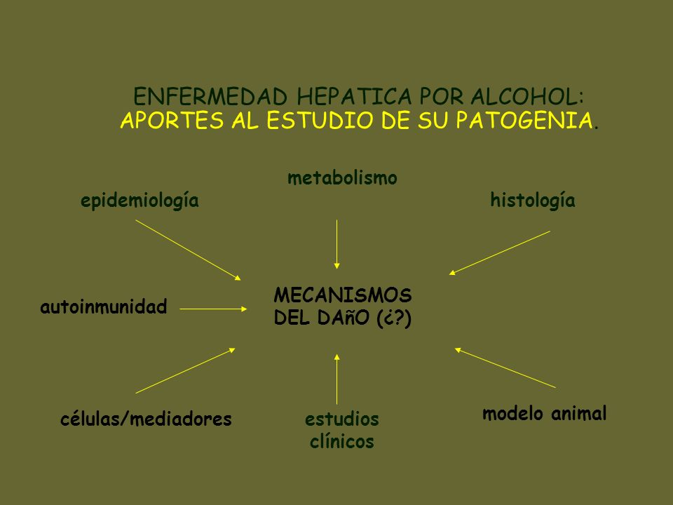 ENFERMEDAD HEPATICA POR ALCOHOL: APORTES AL ESTUDIO DE SU PATOGENIA.
