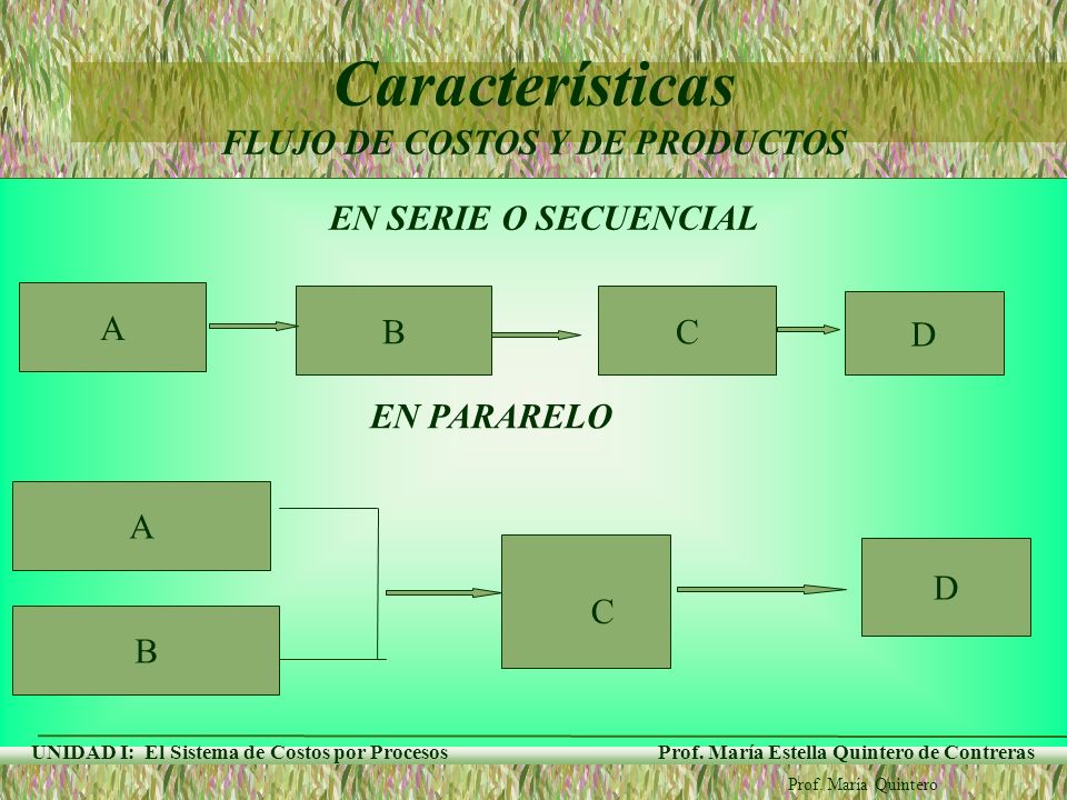 Características FLUJO DE COSTOS Y DE PRODUCTOS