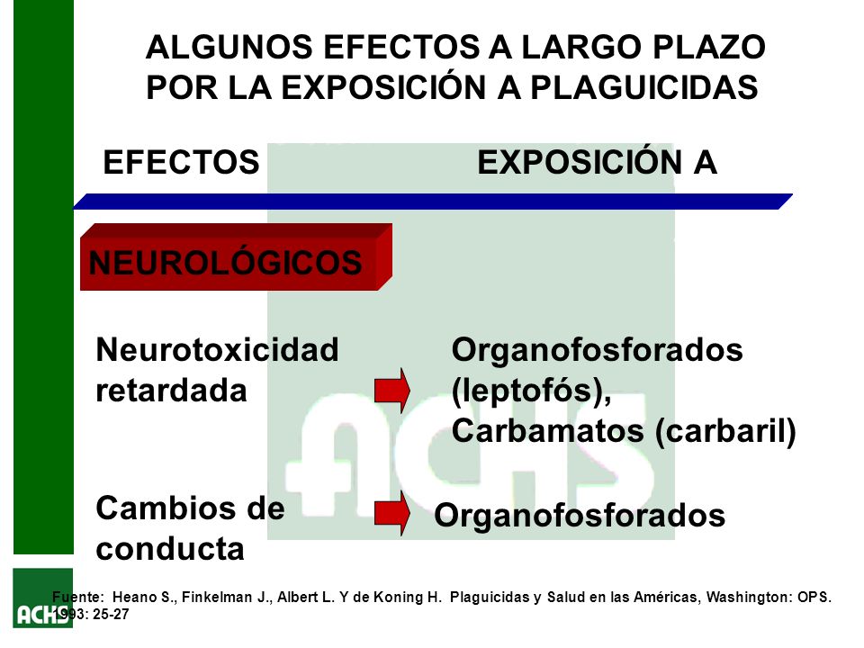 ALGUNOS EFECTOS A LARGO PLAZO POR LA EXPOSICIÓN A PLAGUICIDAS
