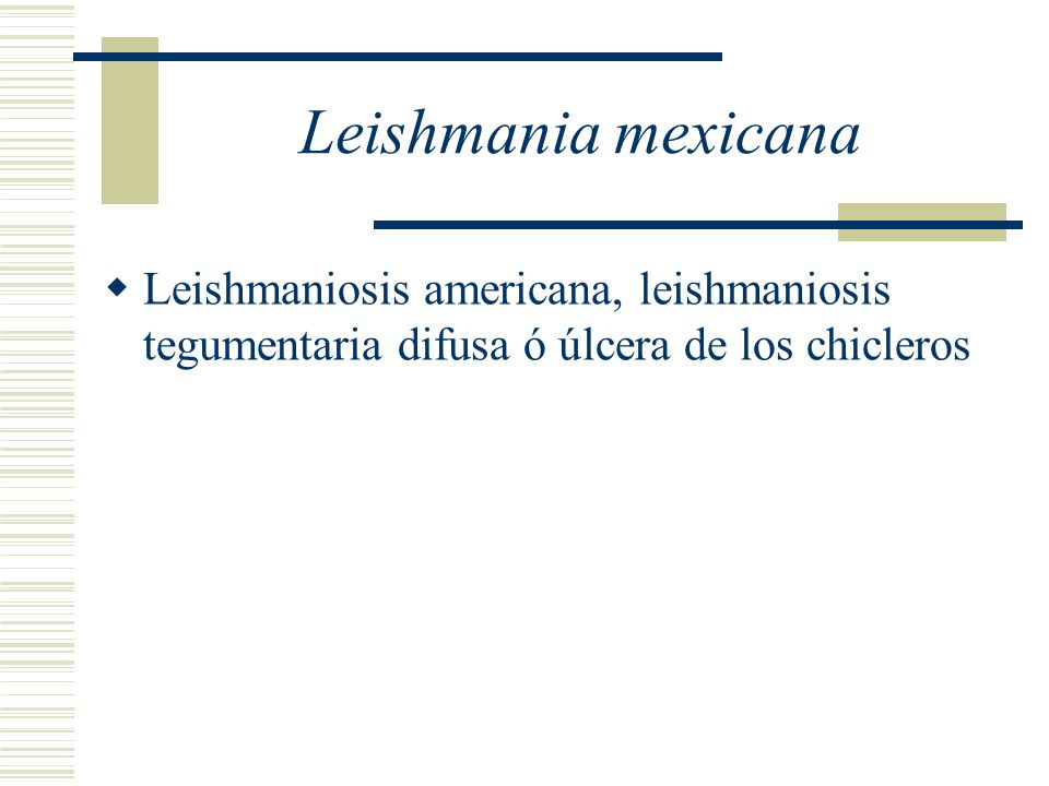 Leishmania mexicana Leishmaniosis americana, leishmaniosis tegumentaria difusa ó úlcera de los chicleros.