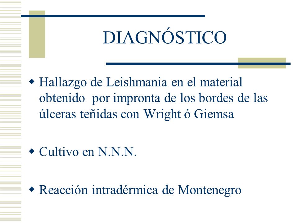 DIAGNÓSTICO Hallazgo de Leishmania en el material obtenido por impronta de los bordes de las úlceras teñidas con Wright ó Giemsa.