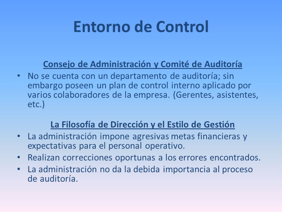 Entorno de Control Consejo de Administración y Comité de Auditoría