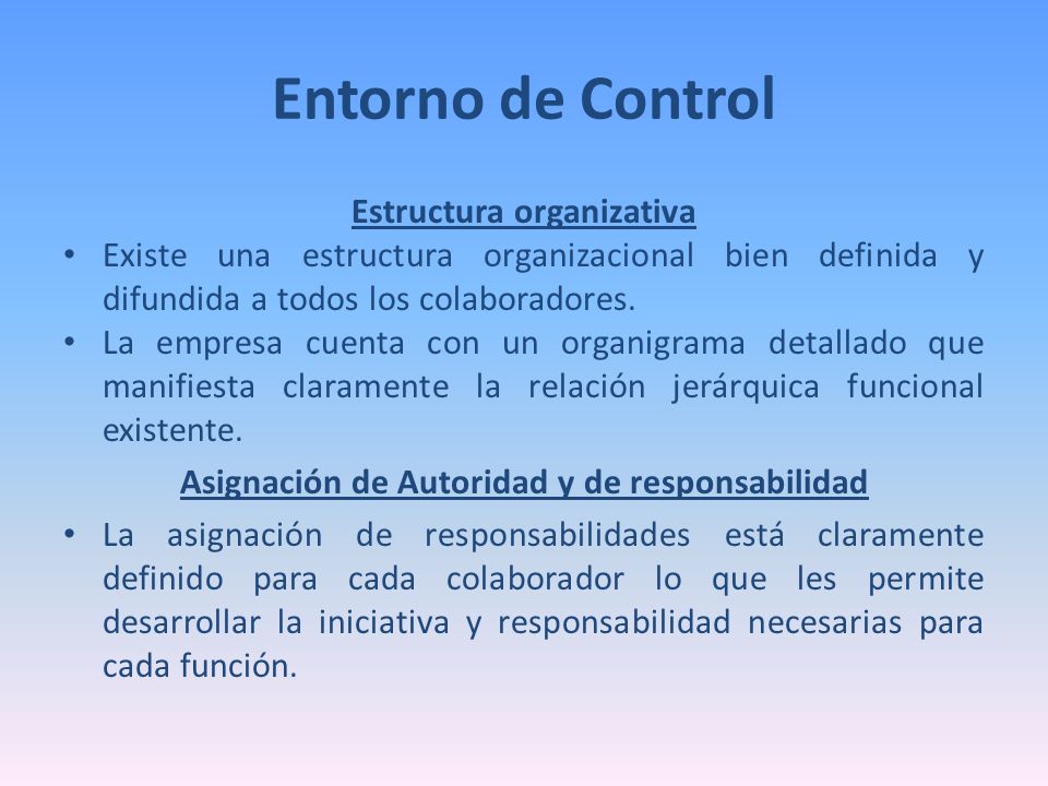Estructura organizativa Asignación de Autoridad y de responsabilidad
