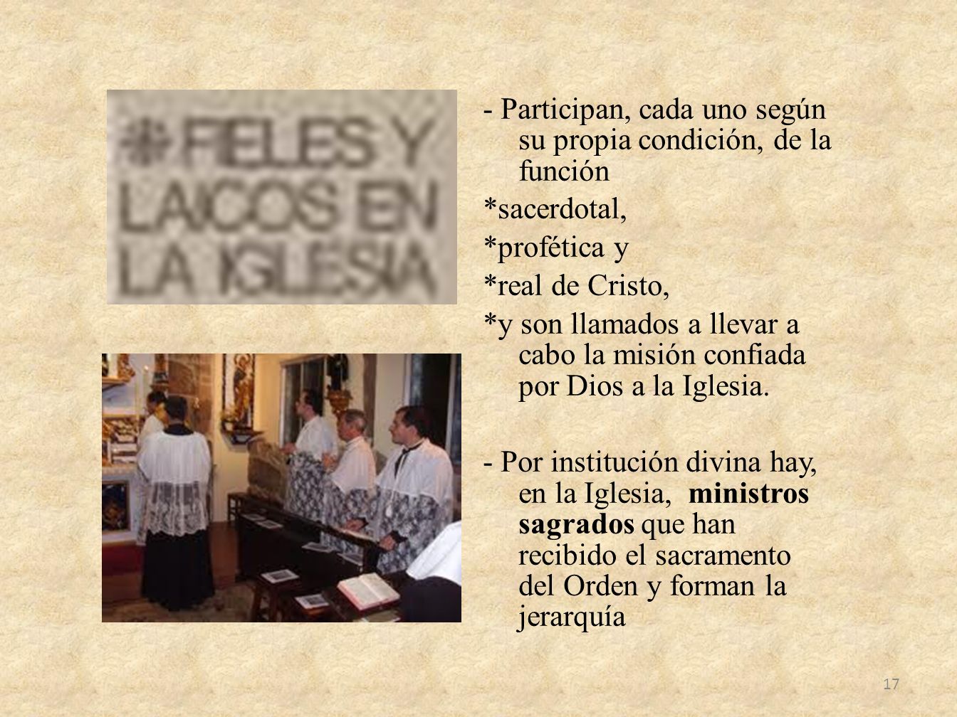 - Participan, cada uno según su propia condición, de la función