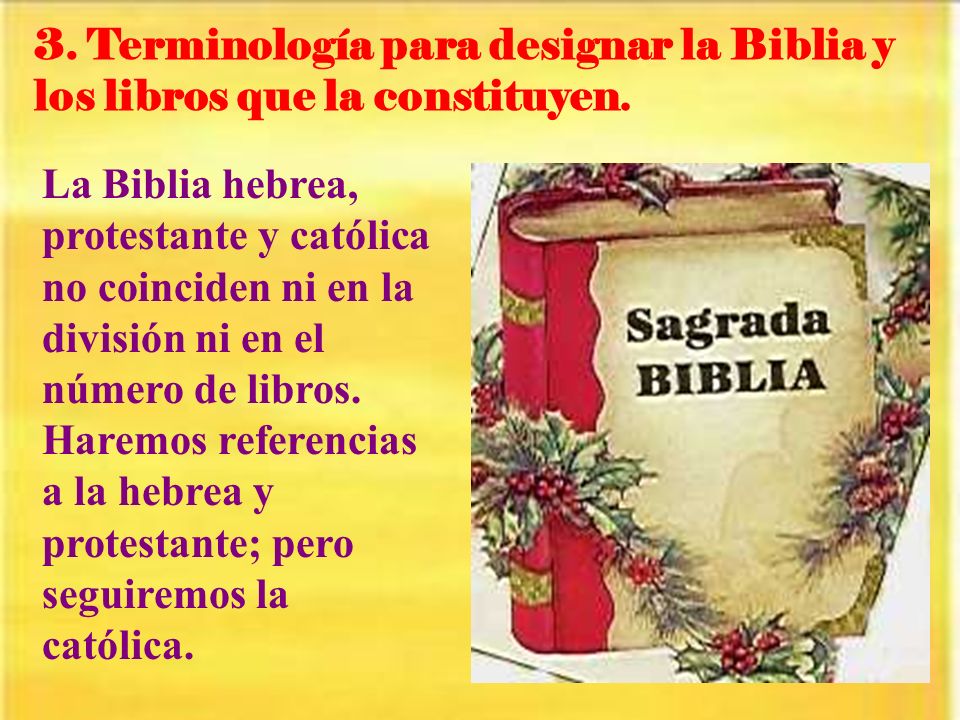 3. Terminología para designar la Biblia y los libros que la constituyen.