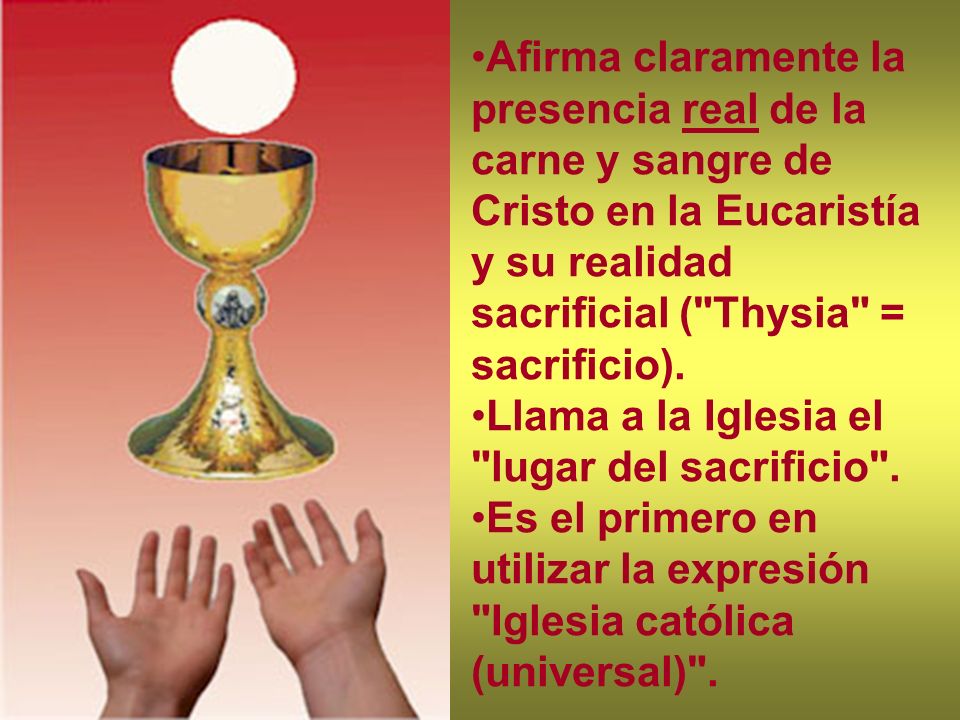 Afirma claramente la presencia real de la carne y sangre de Cristo en la Eucaristía y su realidad sacrificial ( Thysia = sacrificio).