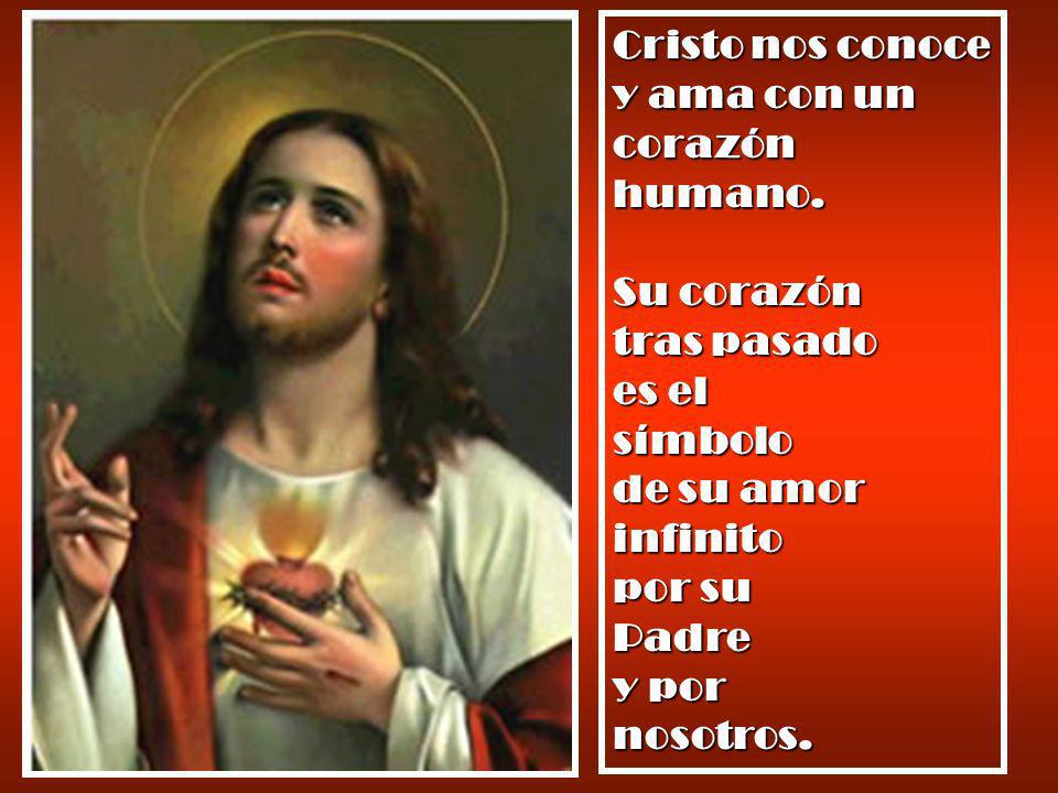 Cristo nos conoce y ama con un corazón humano.