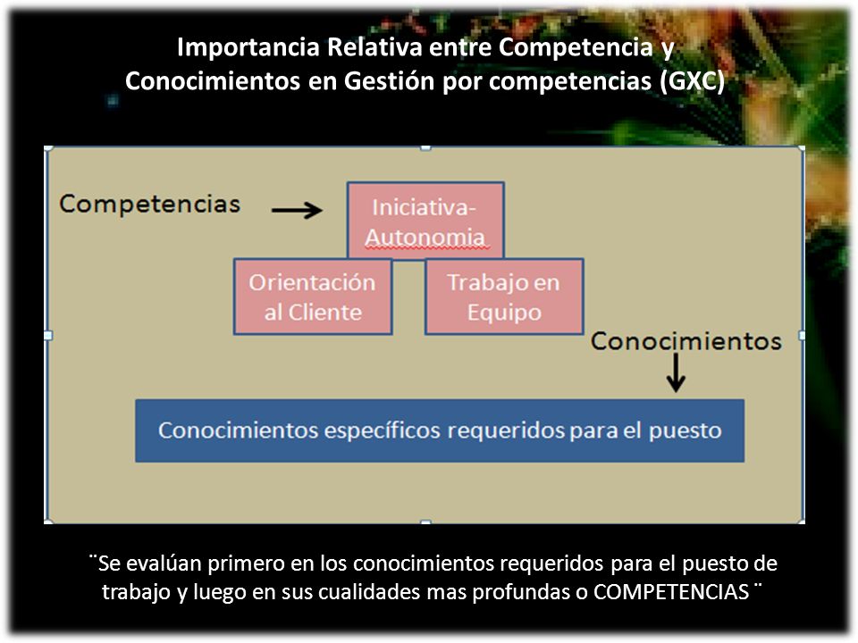 Importancia Relativa entre Competencia y Conocimientos en Gestión por competencias (GXC)