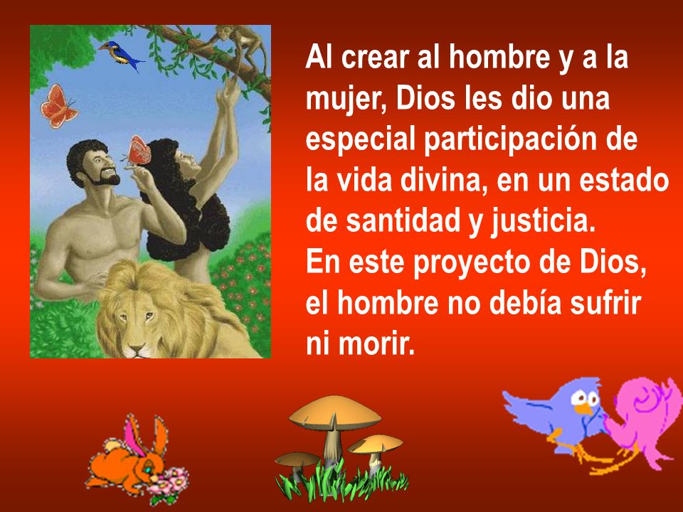 Al crear al hombre y a la mujer, Dios les dio una. especial participación de. la vida divina, en un estado.