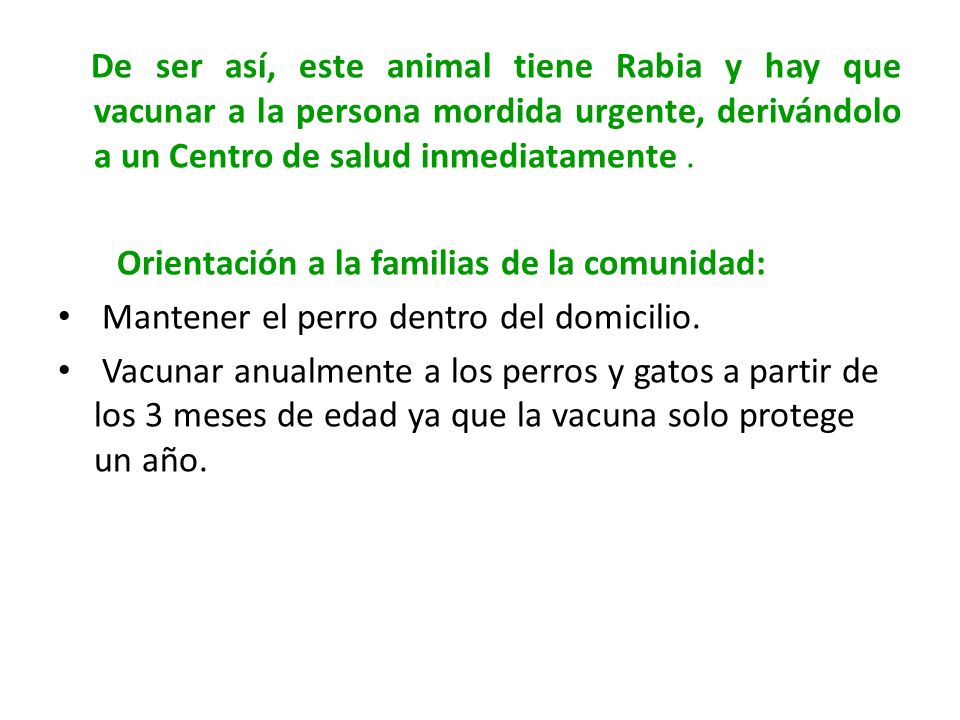 De ser así, este animal tiene Rabia y hay que vacunar a la persona mordida urgente, derivándolo a un Centro de salud inmediatamente .