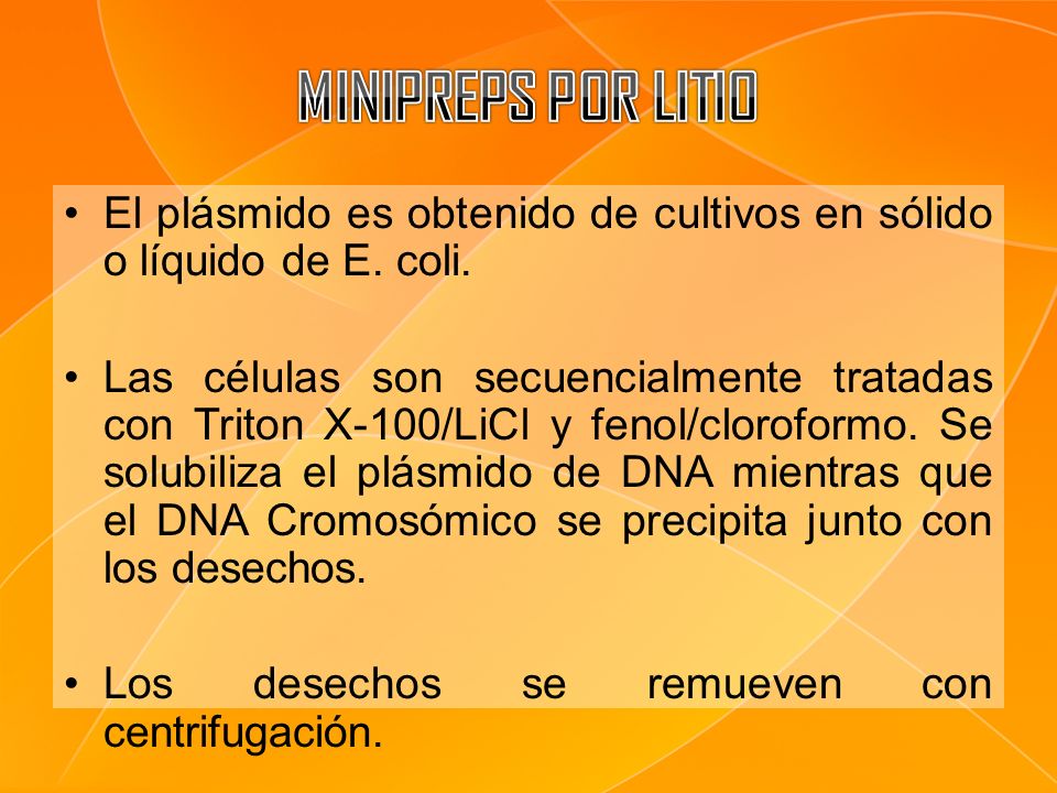MINIPREPS POR LITIO El plásmido es obtenido de cultivos en sólido o líquido de E. coli.