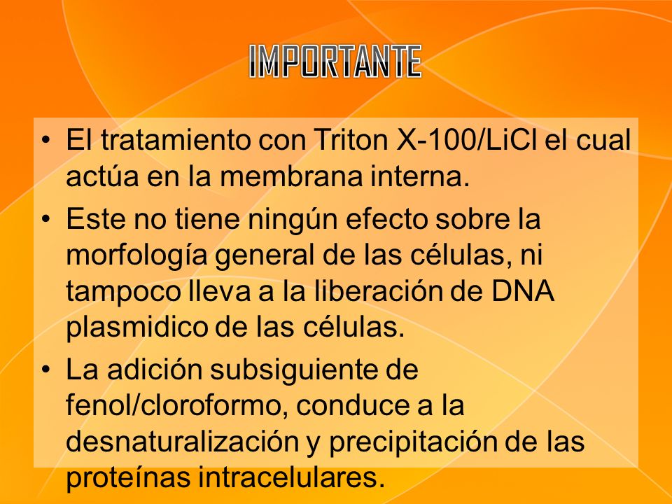 IMPORTANTE El tratamiento con Triton X-100/LiCl el cual actúa en la membrana interna.