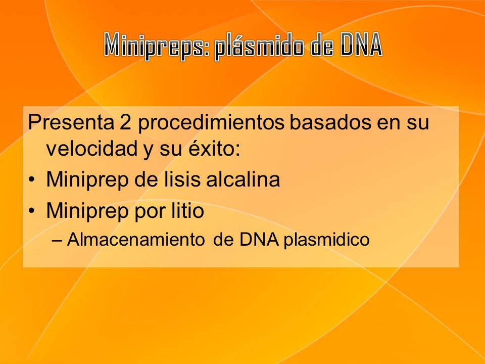 Minipreps: plásmido de DNA