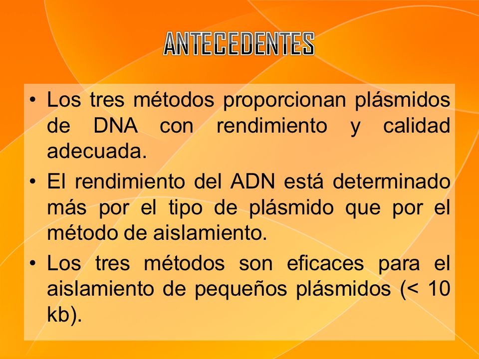 ANTECEDENTES Los tres métodos proporcionan plásmidos de DNA con rendimiento y calidad adecuada.