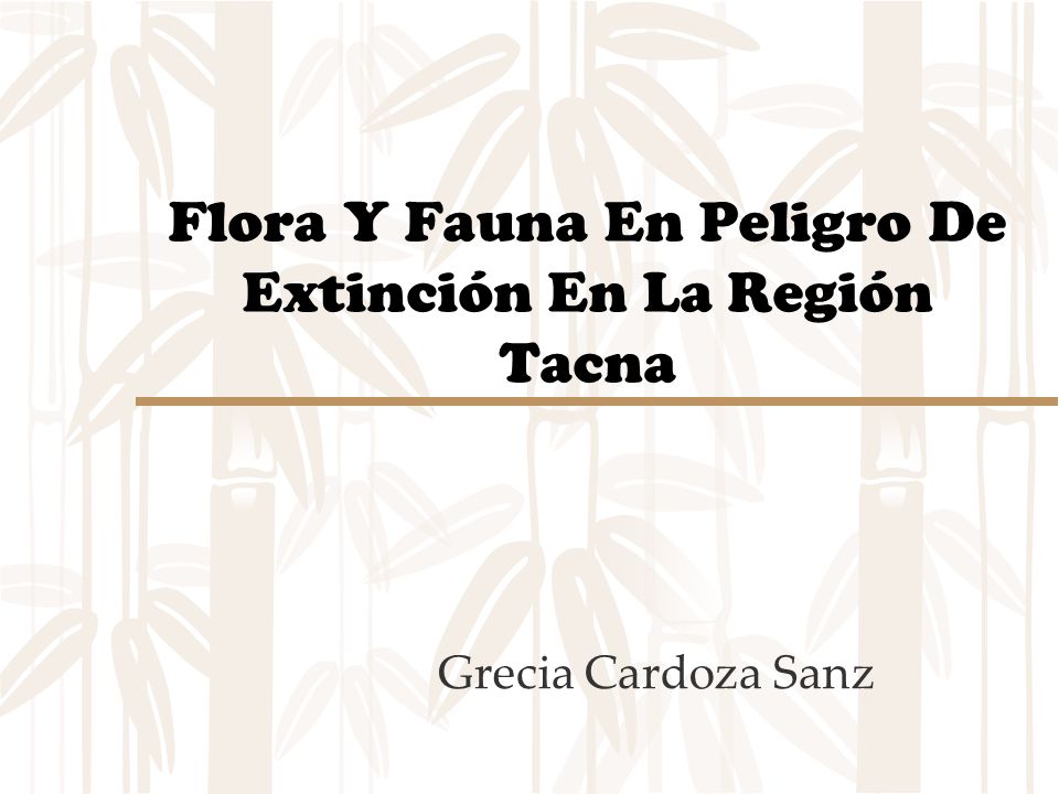 Flora Y Fauna En Peligro De Extinción En La Región Tacna