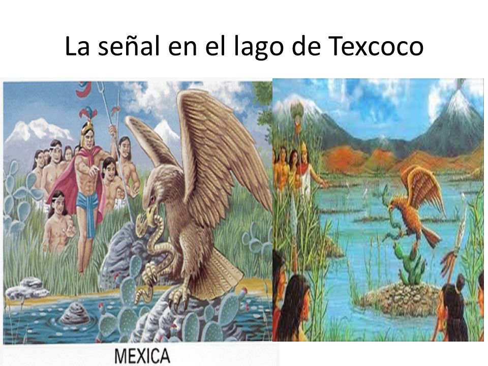 Aztecas Cuenta la leyenda su Dios Huitzilopochtli les dijo 