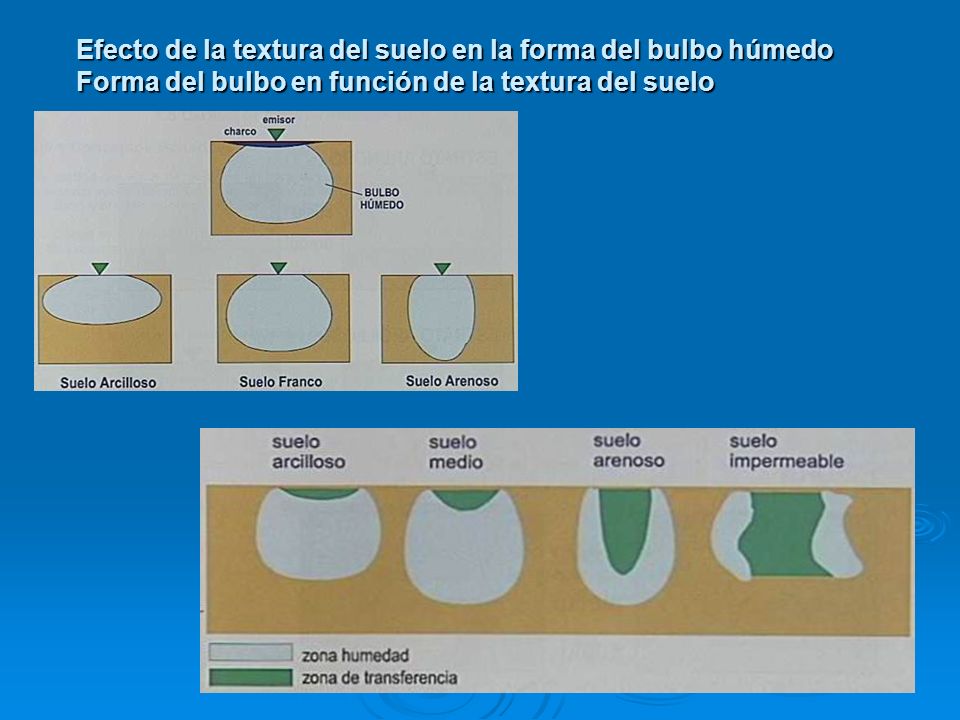 Efecto de la textura del suelo en la forma del bulbo húmedo Forma del bulbo en función de la textura del suelo