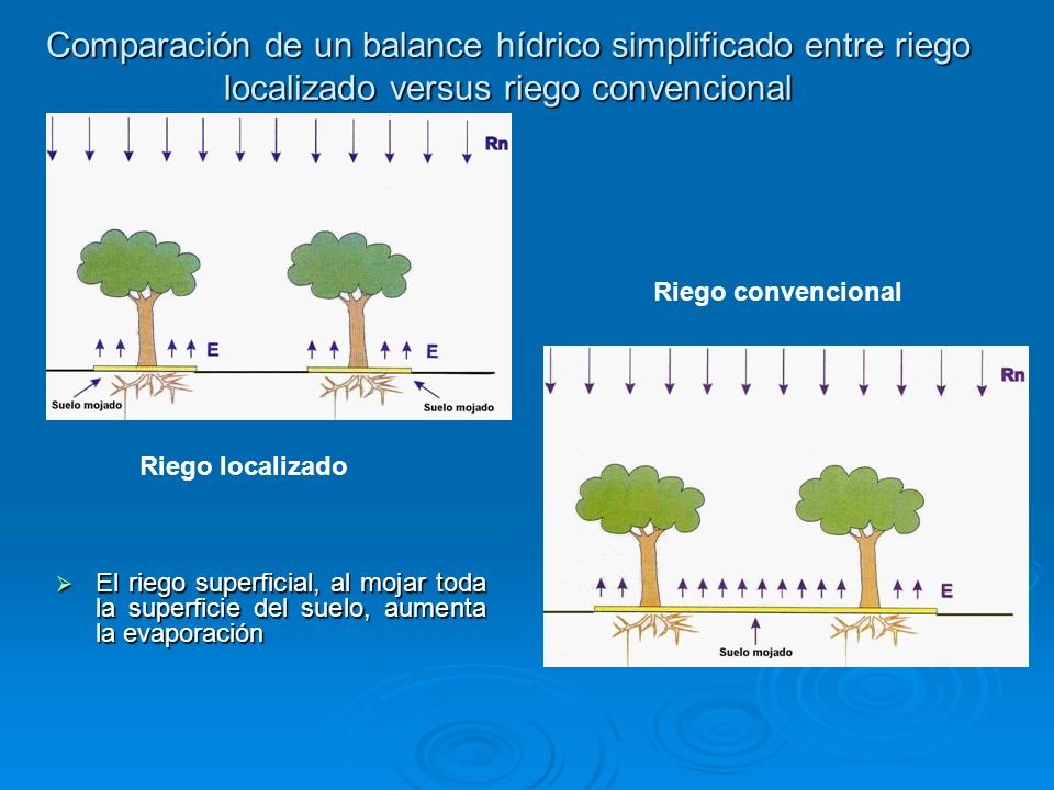Comparación de un balance hídrico simplificado entre riego localizado versus riego convencional