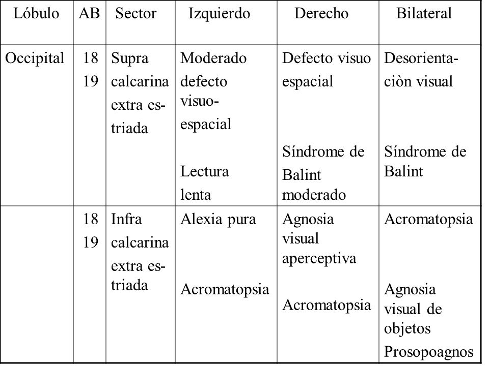 Lóbulo AB. Sector. Izquierdo. Derecho. Bilateral. Occipital Supra. calcarina. extra es-