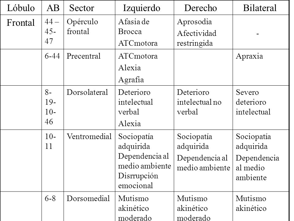 Lóbulo AB Sector Izquierdo Derecho Bilateral Frontal 44 –45-47