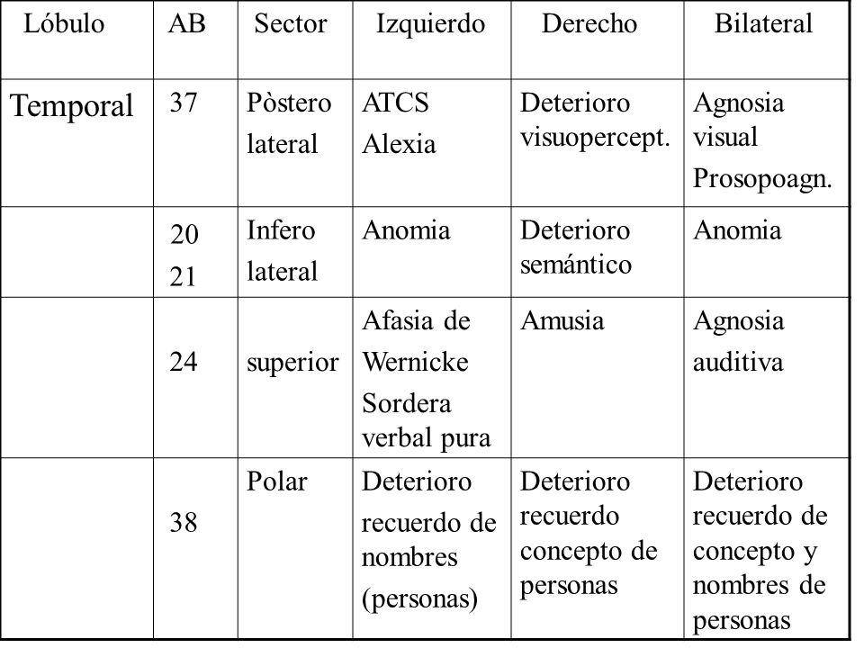 Temporal 20 Lóbulo AB Sector Izquierdo Derecho Bilateral 37 Pòstero
