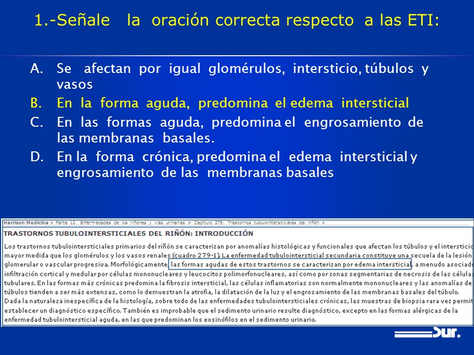 1.-Señale la oración correcta respecto a las ETI: