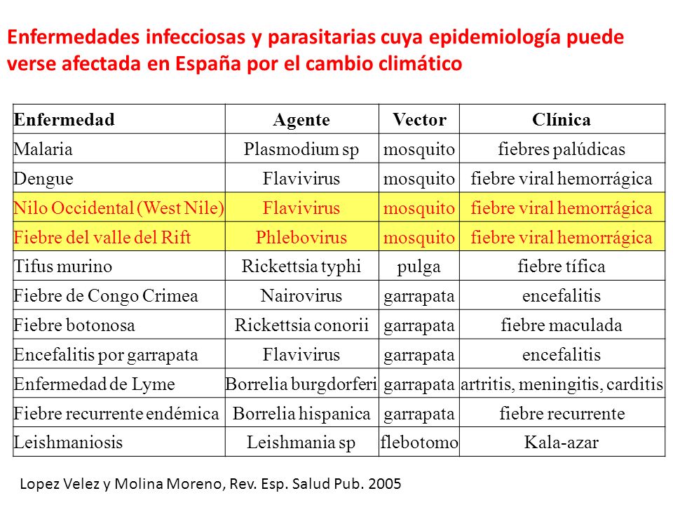 Enfermedades infecciosas y parasitarias cuya epidemiología puede verse afectada en España por el cambio climático