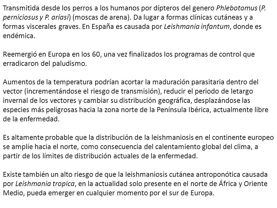 Transmitida desde los perros a los humanos por dípteros del genero Phlebotomus (P. perniciosus y P. ariasi) (moscas de arena). Da lugar a formas clínicas cutáneas y a formas viscerales graves. En España es causada por Leishmania infantum, donde es endémica.