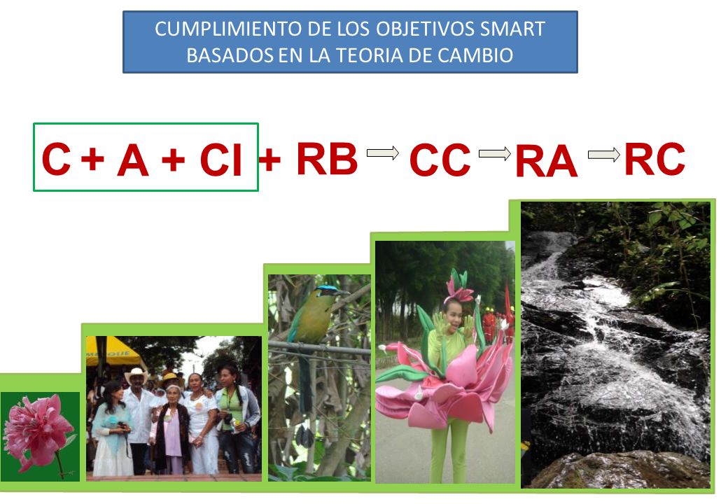 CUMPLIMIENTO DE LOS OBJETIVOS SMART BASADOS EN LA TEORIA DE CAMBIO