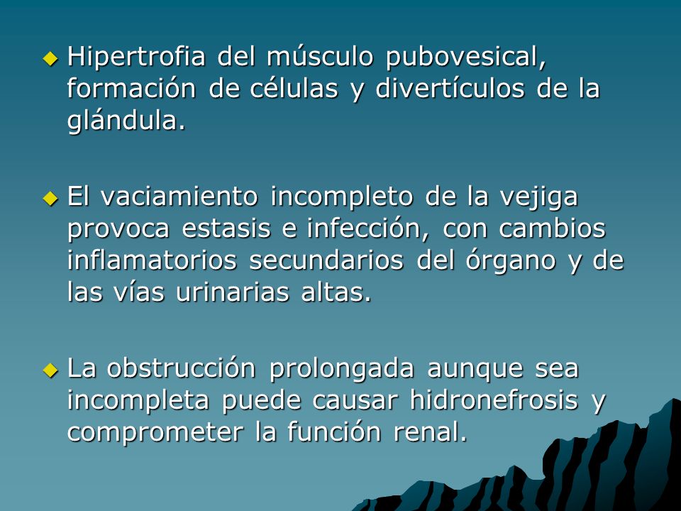 Hipertrofia del músculo pubovesical, formación de células y divertículos de la glándula.