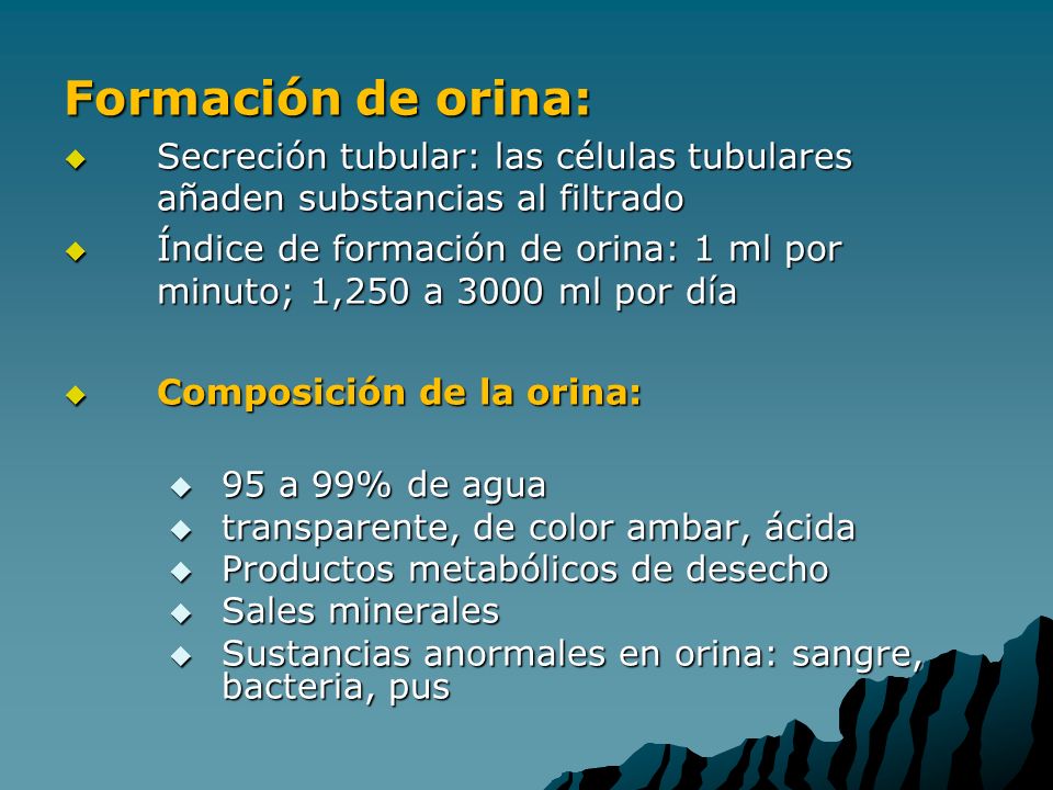 Formación de orina: Secreción tubular: las células tubulares añaden substancias al filtrado.