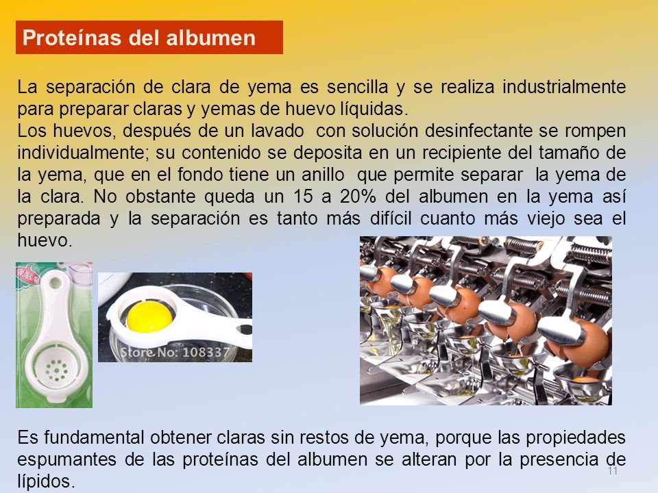 Proteínas del albumen La separación de clara de yema es sencilla y se realiza industrialmente para preparar claras y yemas de huevo líquidas.