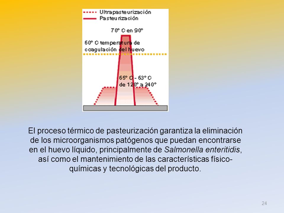 El proceso térmico de pasteurización garantiza la eliminación de los microorganismos patógenos que puedan encontrarse en el huevo líquido, principalmente de Salmonella enteritidis, así como el mantenimiento de las características físico-químicas y tecnológicas del producto.