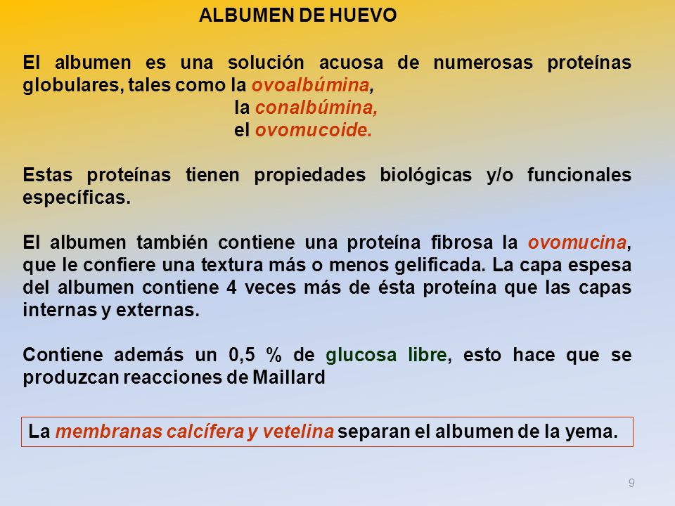 ALBUMEN DE HUEVO El albumen es una solución acuosa de numerosas proteínas globulares, tales como la ovoalbúmina,