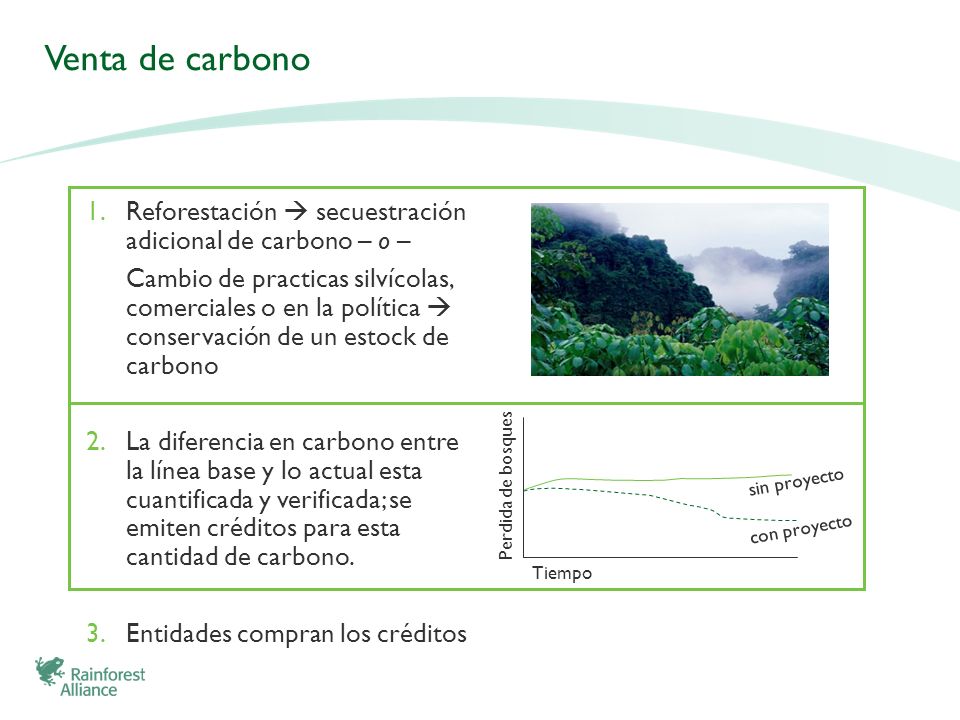 Venta de carbono Reforestación  secuestración adicional de carbono – o –