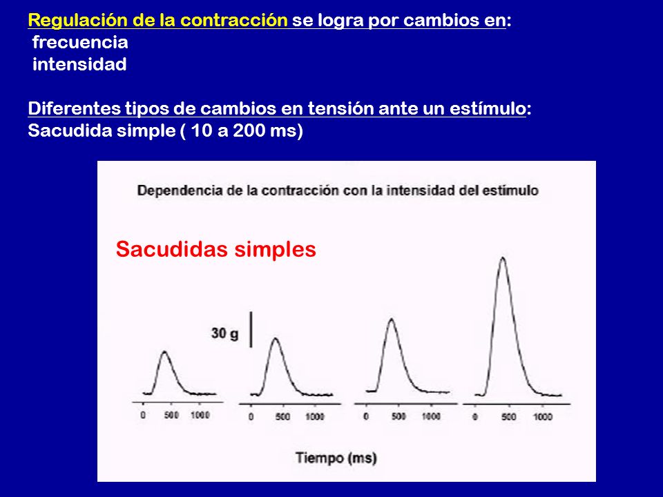 Regulación de la contracción se logra por cambios en: