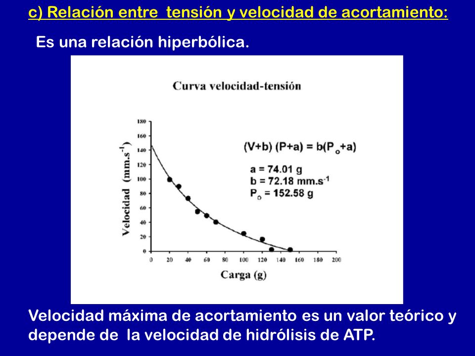 c) Relación entre tensión y velocidad de acortamiento: