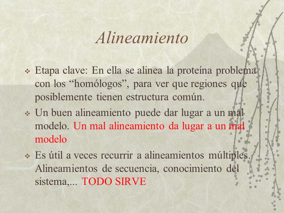 Alineamiento Etapa clave: En ella se alinea la proteína problema con los homólogos , para ver que regiones que posiblemente tienen estructura común.