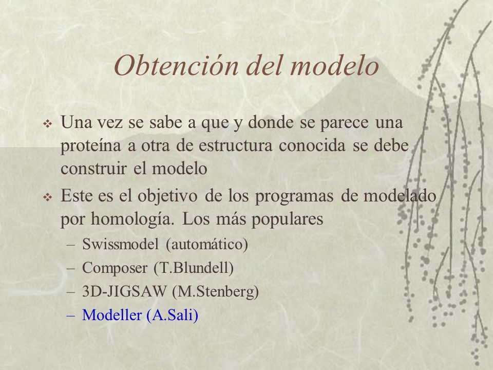 Obtención del modelo Una vez se sabe a que y donde se parece una proteína a otra de estructura conocida se debe construir el modelo.